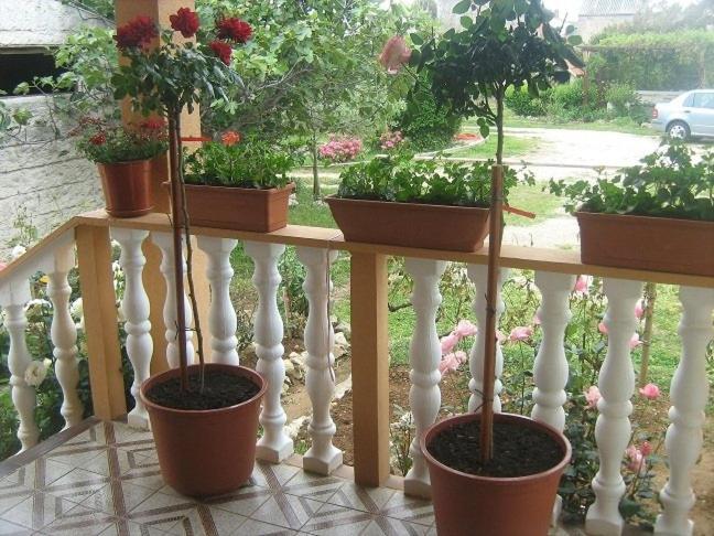 Apartment In Nin With Terrace, Air Conditioning, Wi-Fi Exterior foto